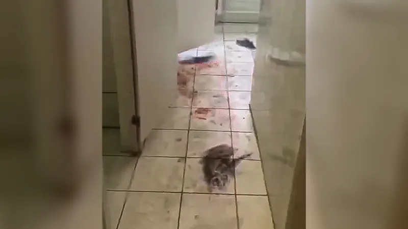 «Классный руководитель из лицея в Химках в понедельник выйдет на работу»: Минобразования области