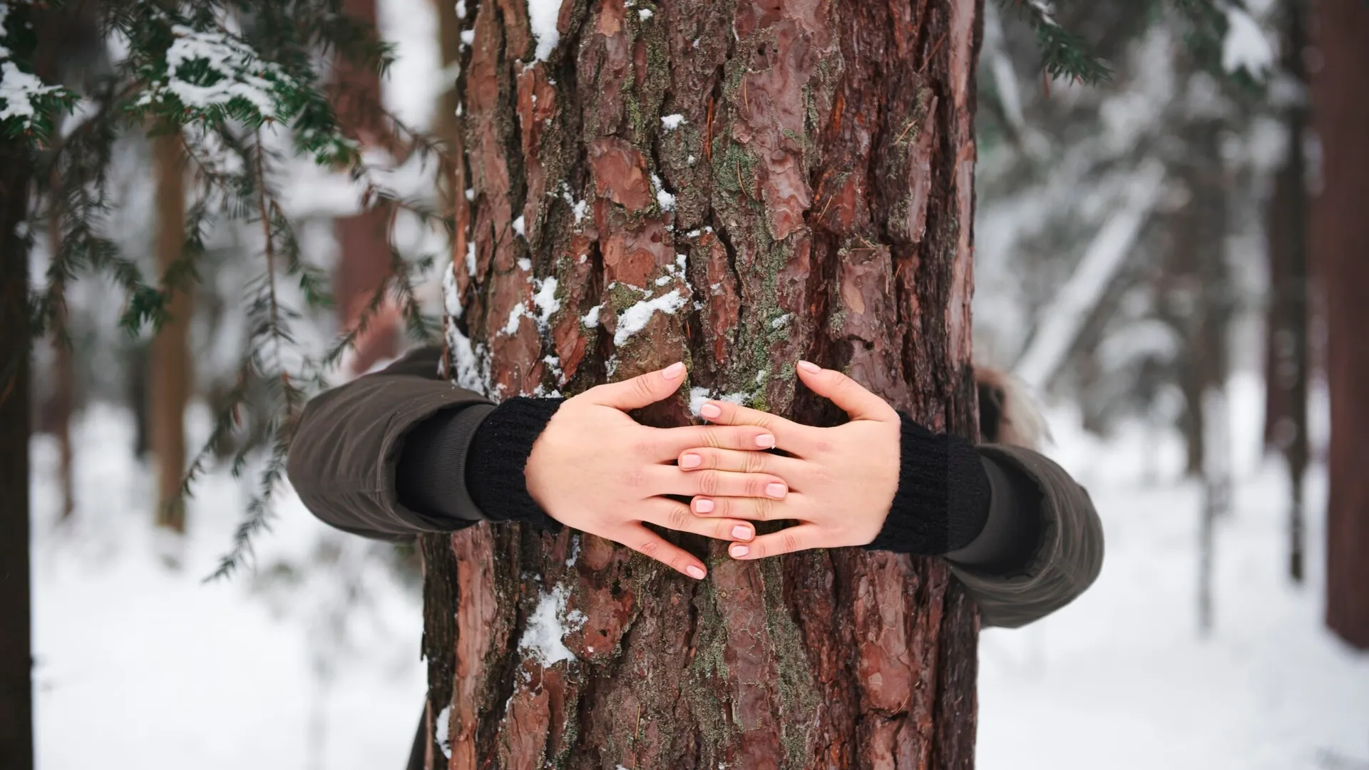 Фото: freepik.com