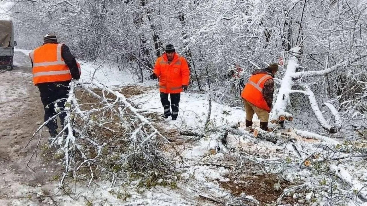 Лесничества Подмосковья мобилизованы для ликвидации последствий непогоды