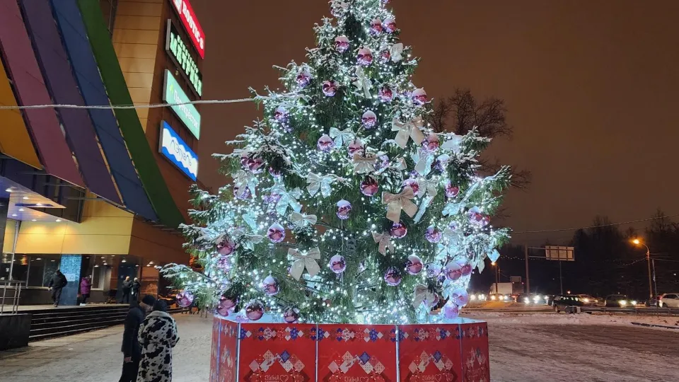 Фото: Дмитрий Алексеенко