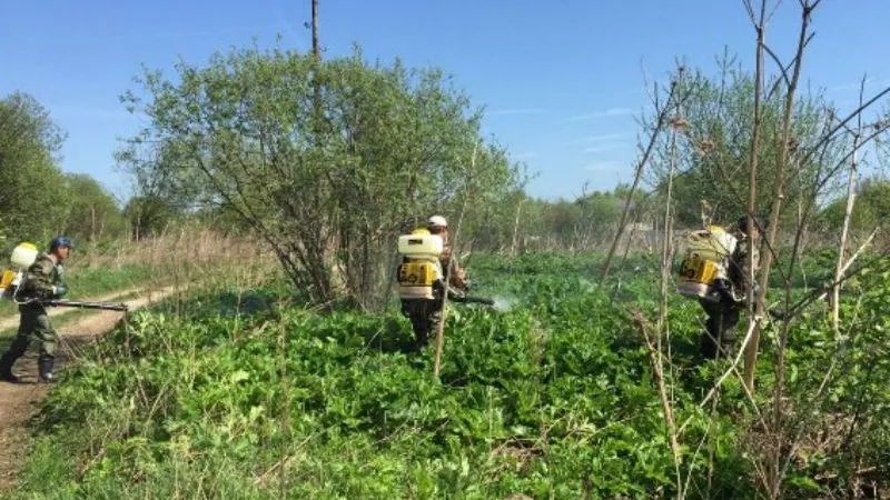 Министерство сельского хозяйства и продовольствия МО
