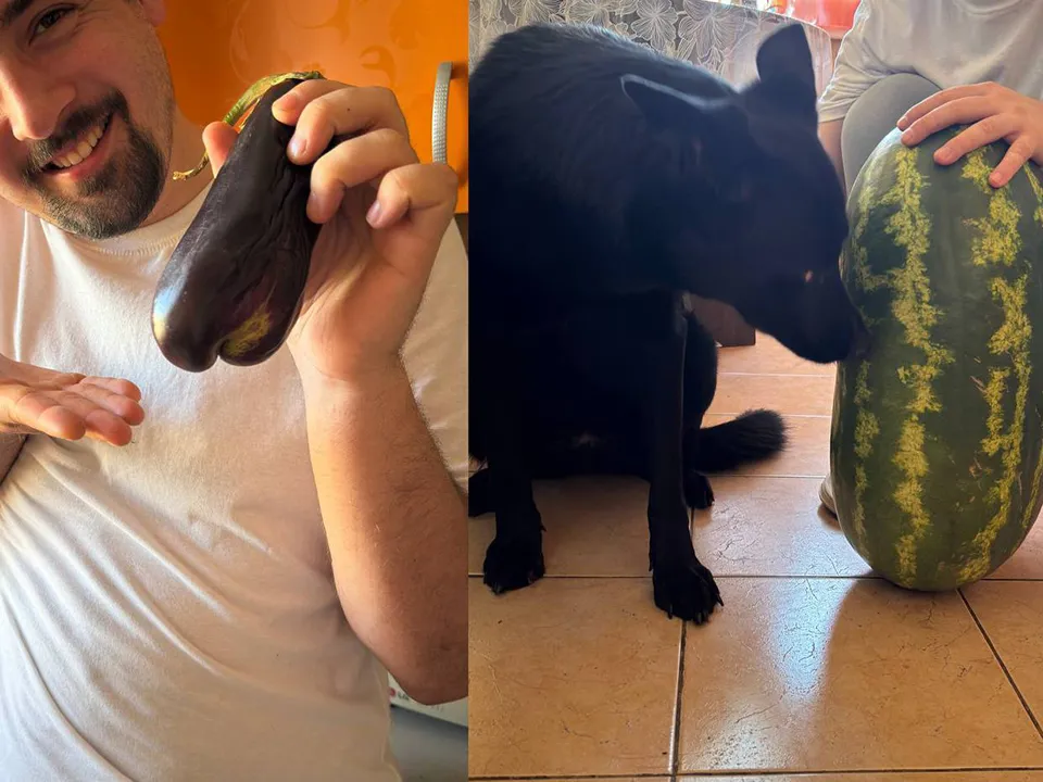 Фото: Артем Пономаренко