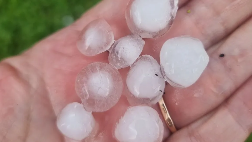 Фото: REGIONS/Юлия Алабина