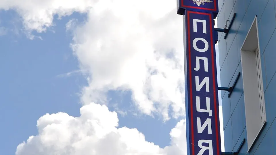 Фото: пресс-служба ОМВД России по Рузскому г.о.