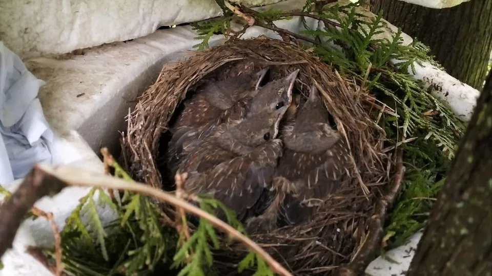 Фото: МФЦ г.о. Подольск