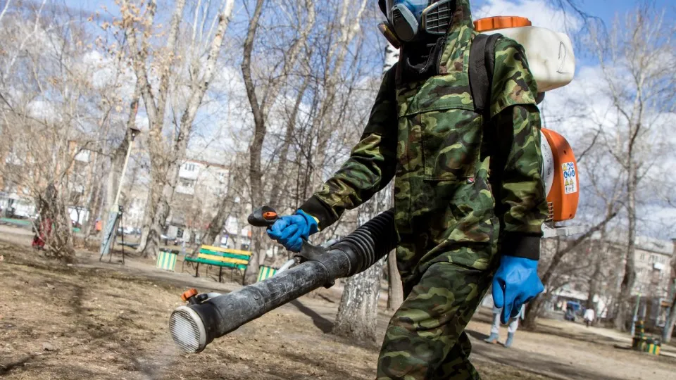 Фото: ТАСС/Octagon.Media/Наталья Чернохатова