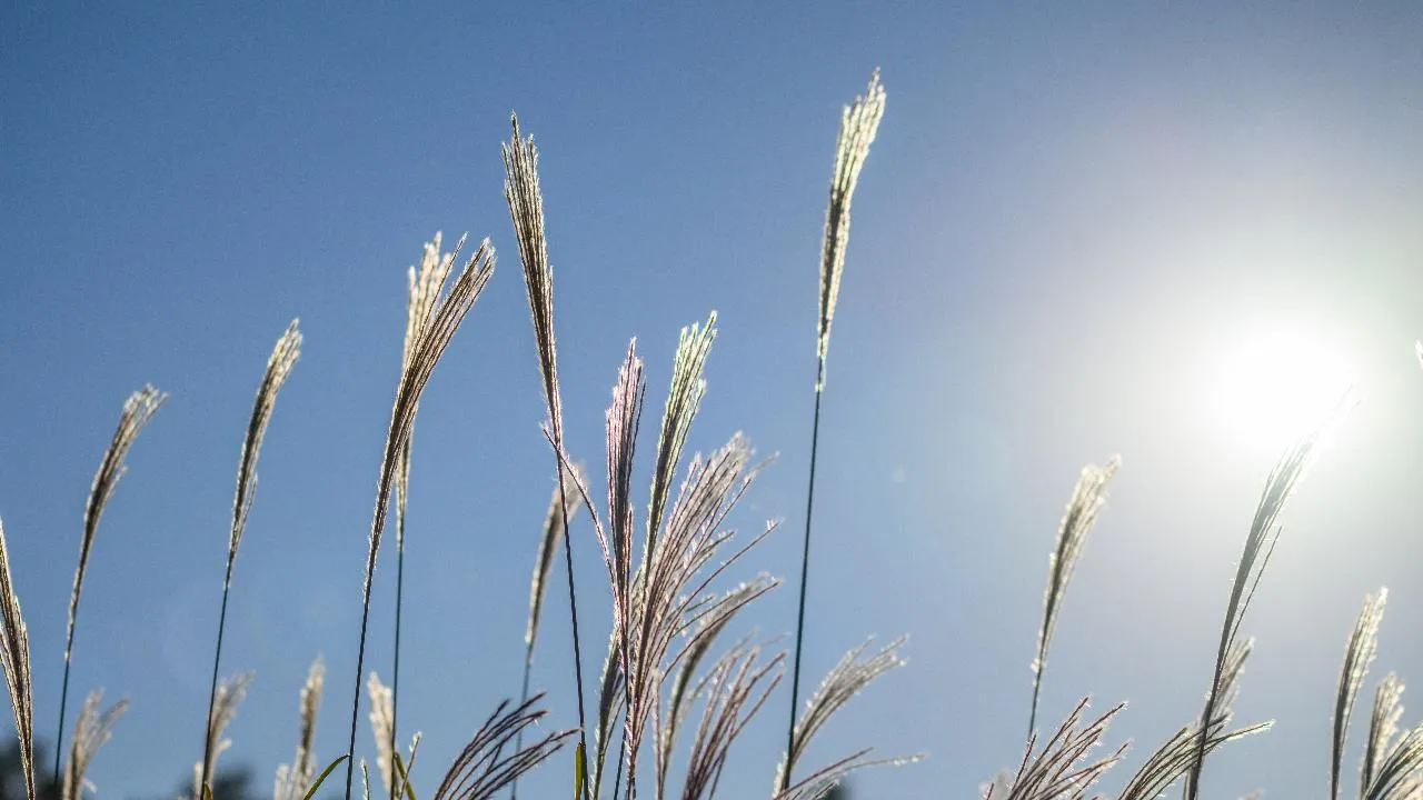 медиасток.рф