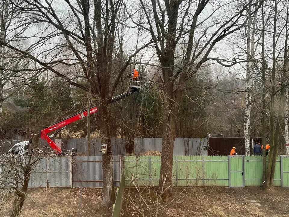 Фото: t.me/postpushkino