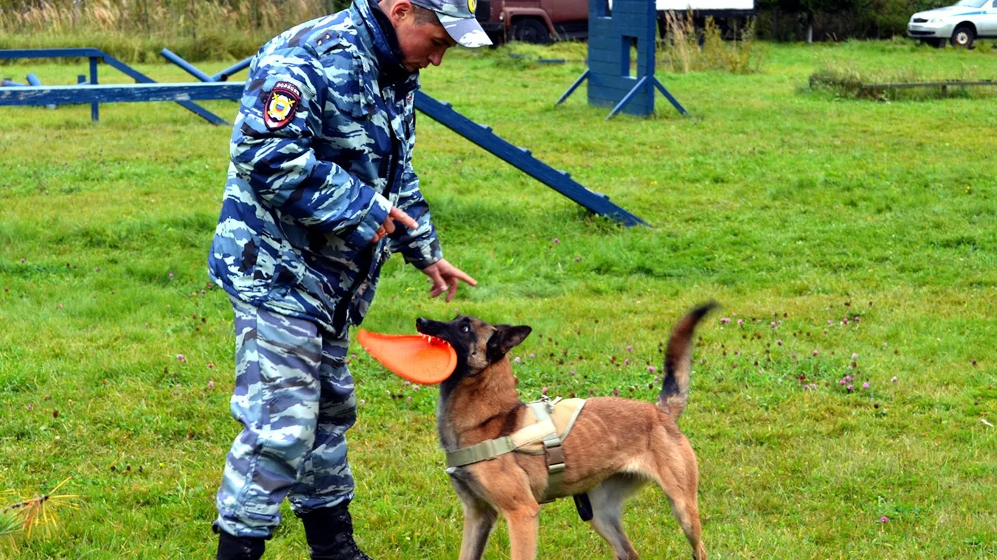 Фото: Администрация Рузского городского округа