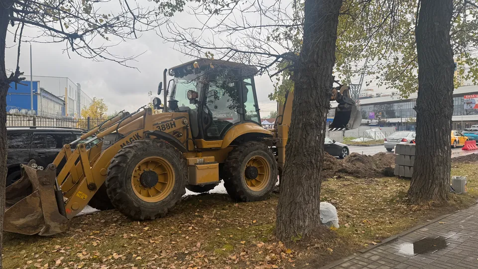 Фото: Мария Овчинникова