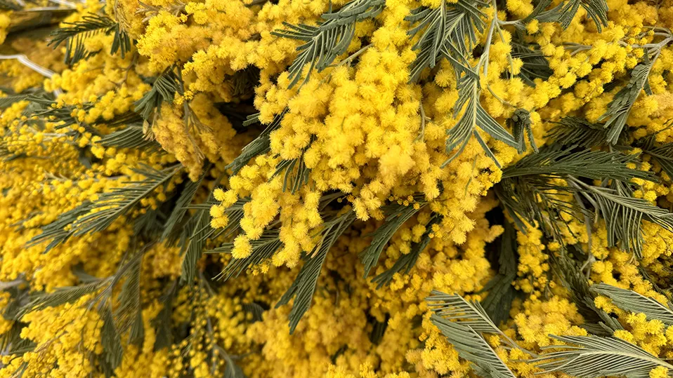 Фото: МедиаБанк Подмосковья/Мария Шматкова