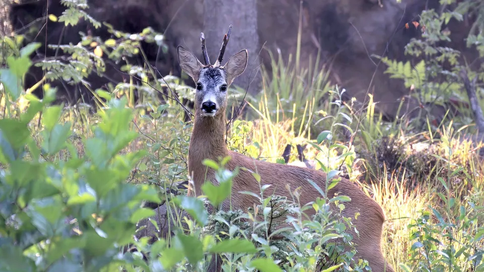 Фото: личный архив Александра Бакланова
