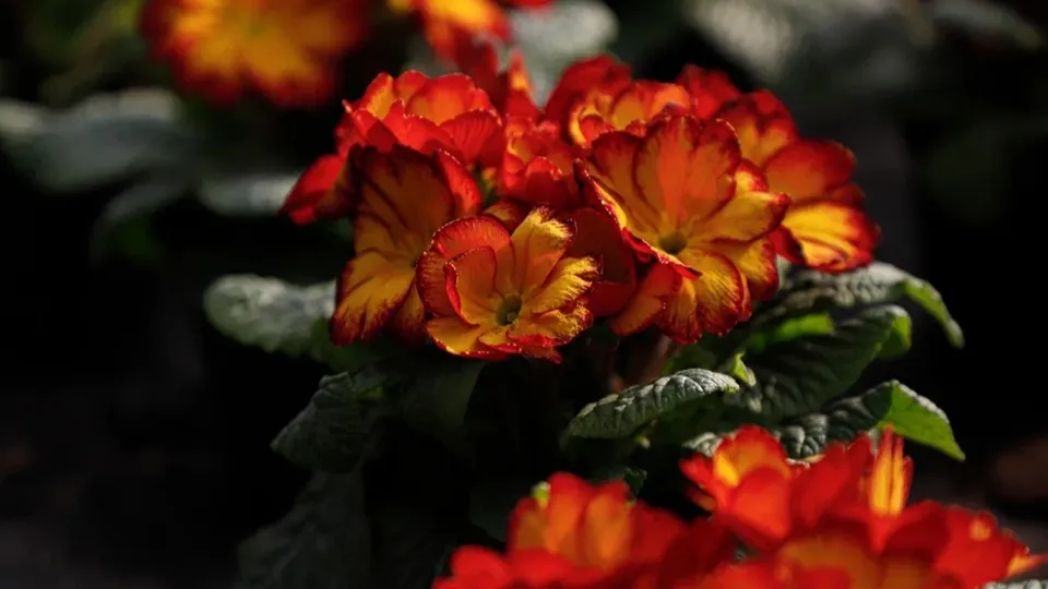 Фото: REGIONS/Наталия Надточая