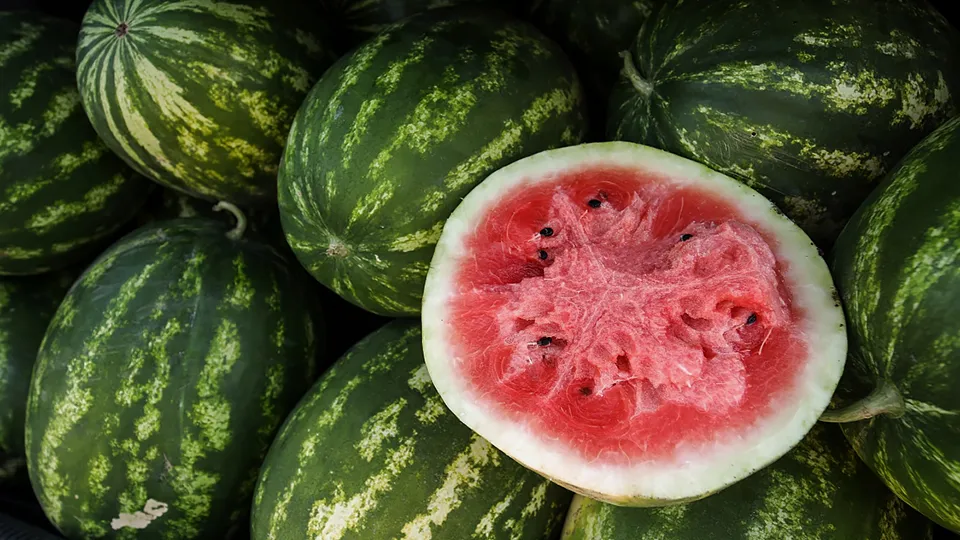 Фото: РИА Новости/Виталий Тимкив