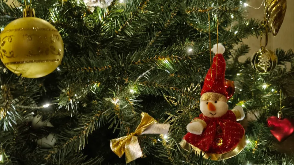 Фото: REGIONS/Елена Шахиджанова