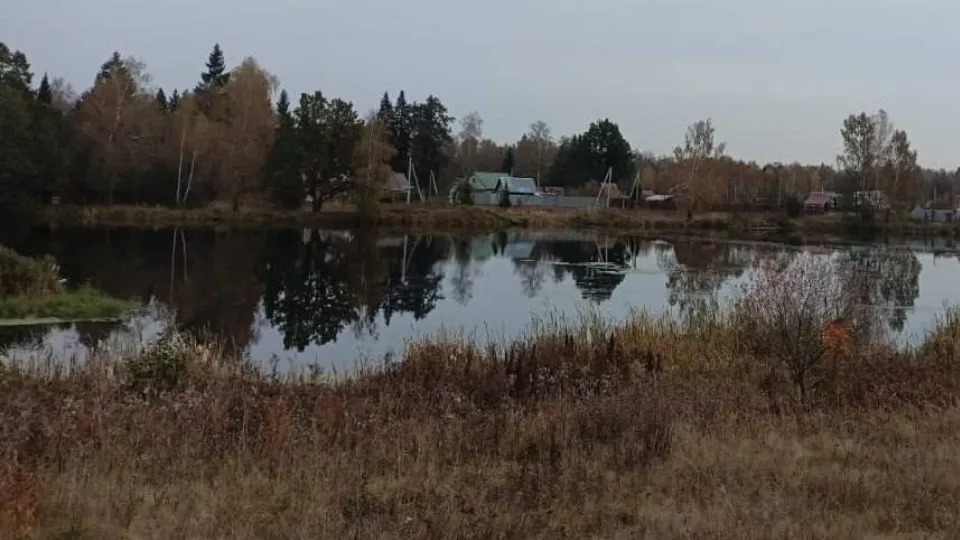 Фото: t.me/dmitriyvikulov