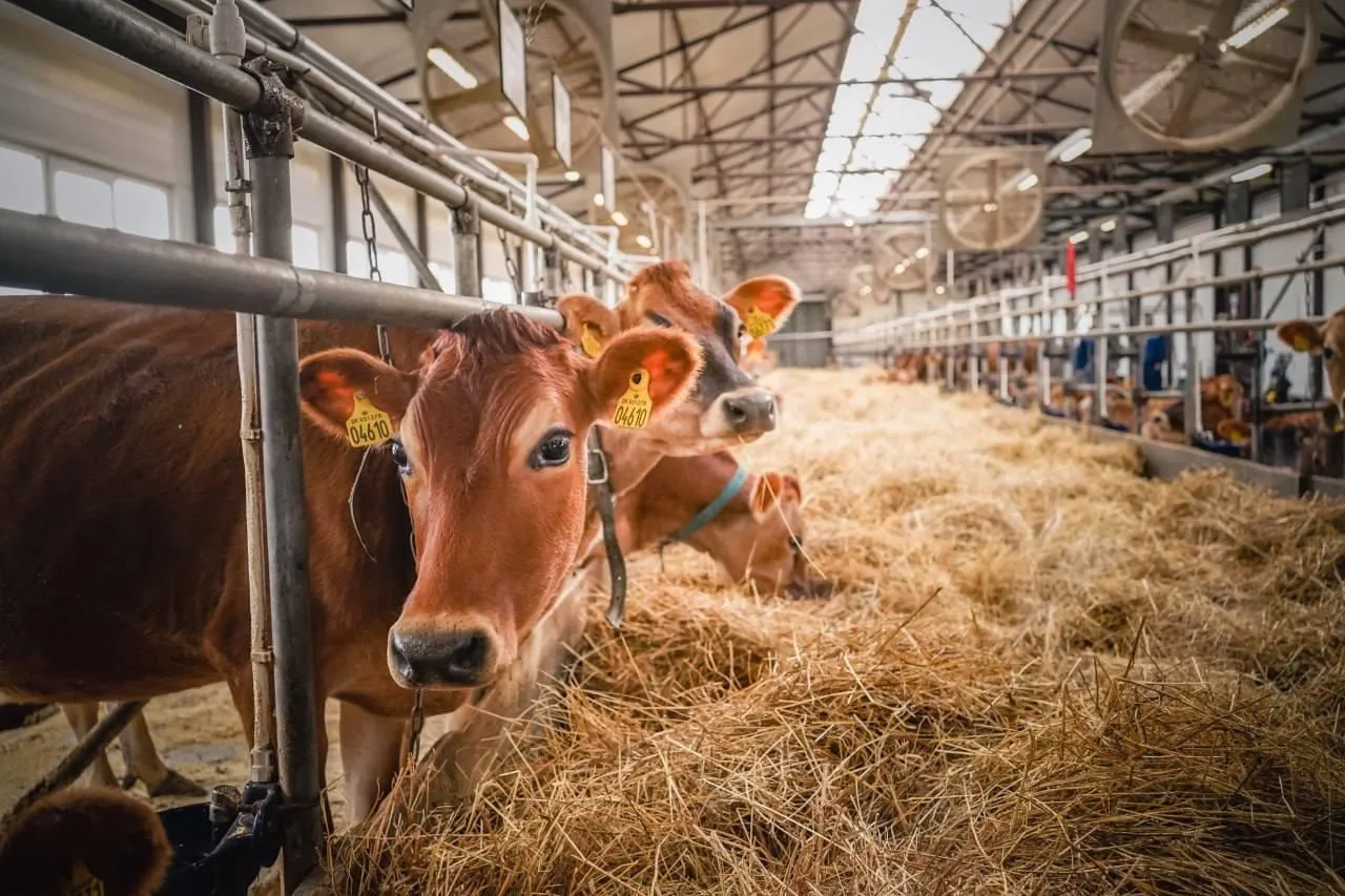 Пресс-служба администрации Сергиево-Посадского городского округа