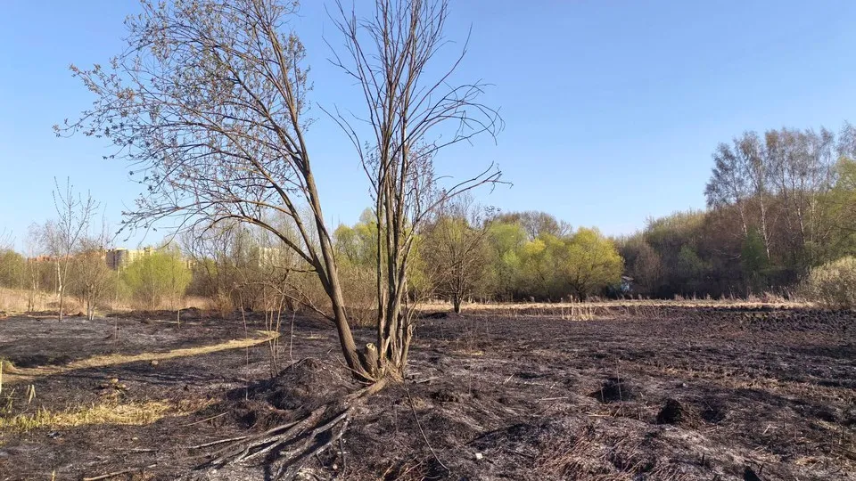 Фото: REGIONS/Александра Никитина