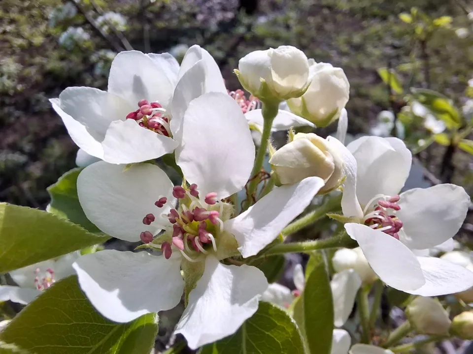 Фото: REGIONS/Юлия Габбасова