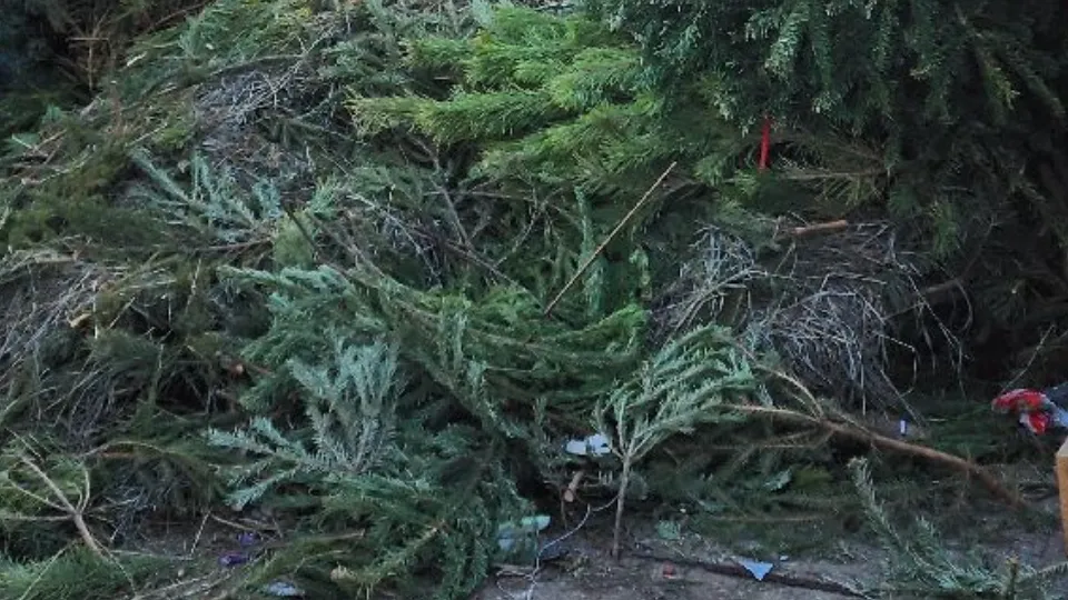 Фото: Ирина Моисеева