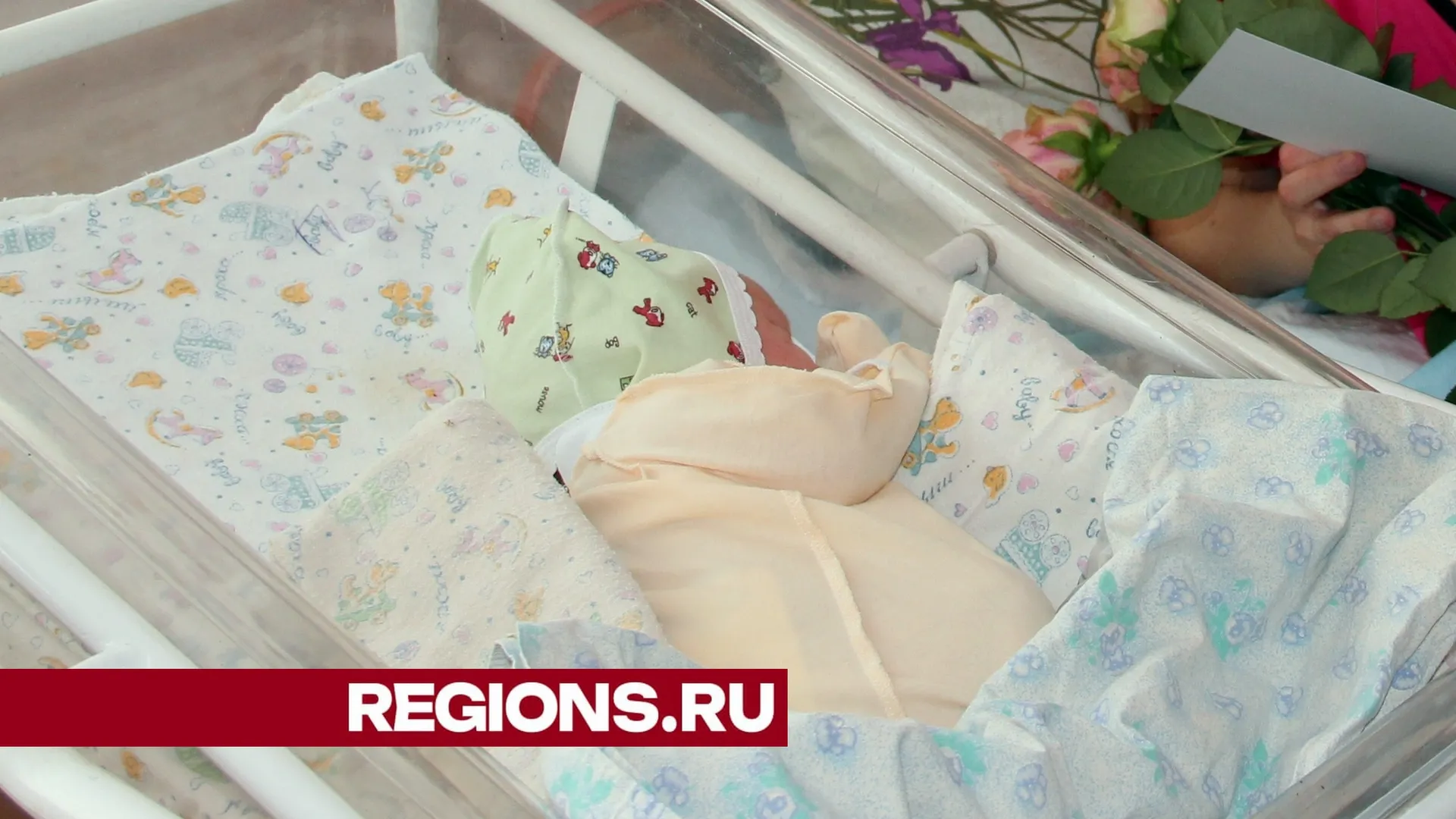 Фото Александра Дрожжина