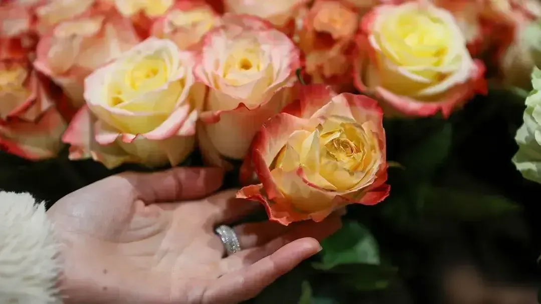 REGIONS/Роман Малышенко