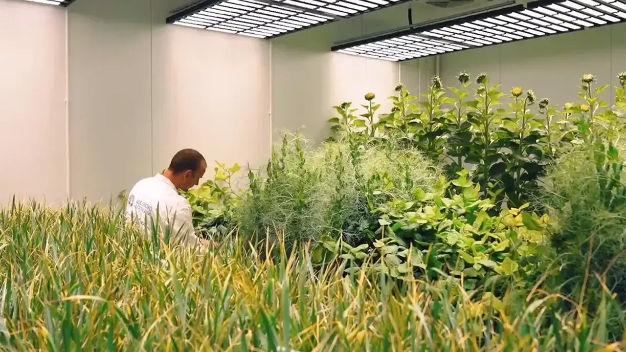 Компания «Щелково Агрохим»