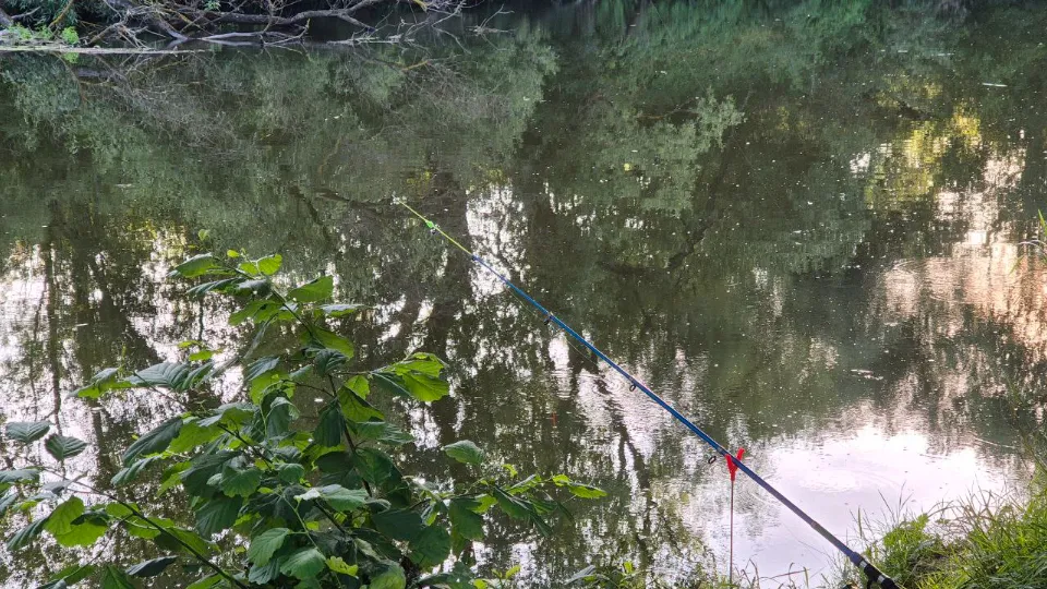 Фото: REGIONS/Анна Иванова