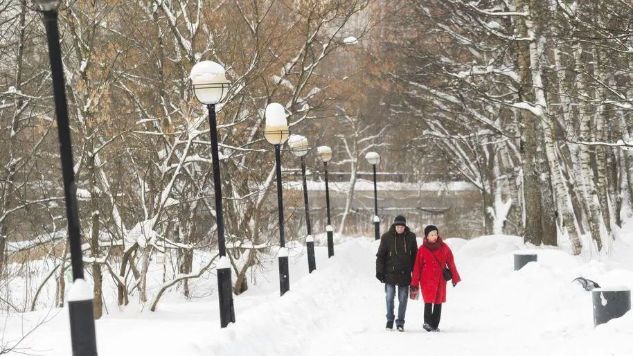 Фото: Медиабанк МО