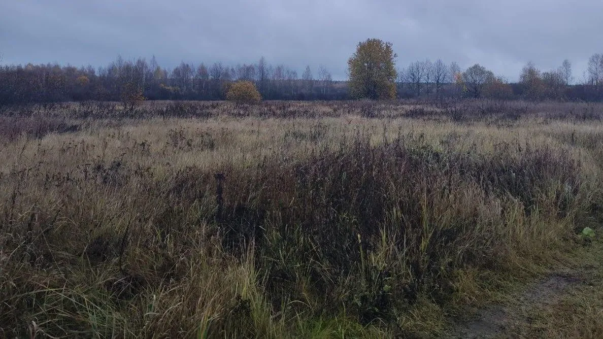 Минимущества