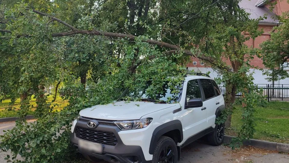 Фото: REGIONS/Елена Забелина