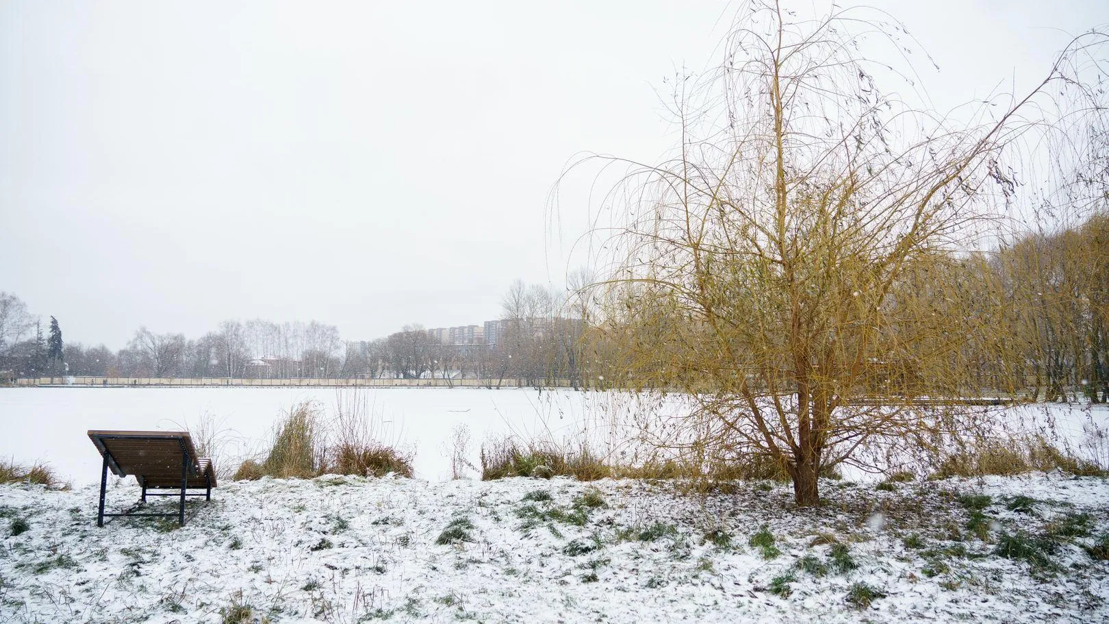 медиасток.рф