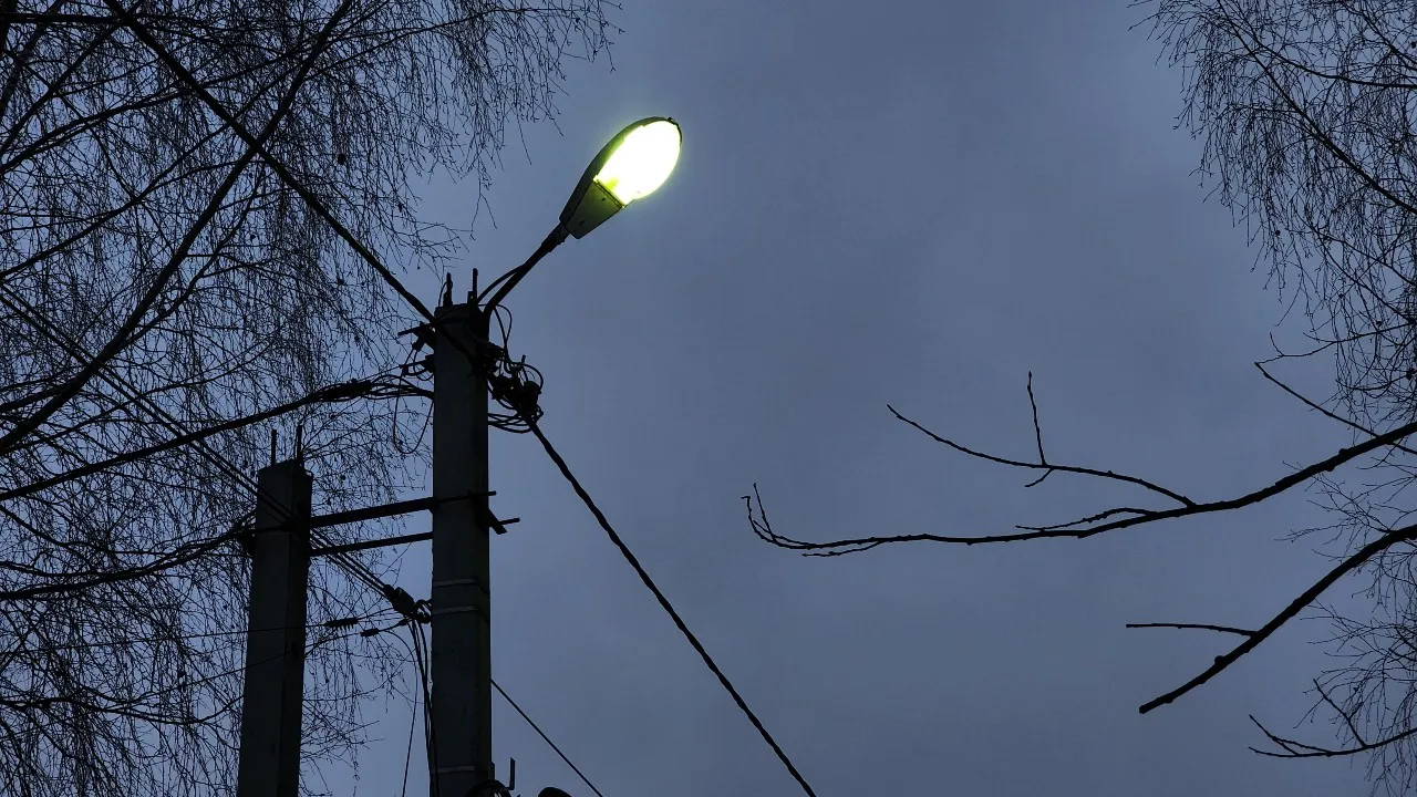 Фото: МедиаБанк Подмосковья/Арина Кузнецова