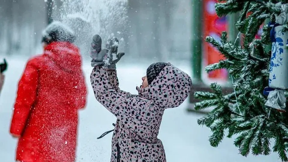 Фото: городской парк культуры и отдыха г.о. Жуковский