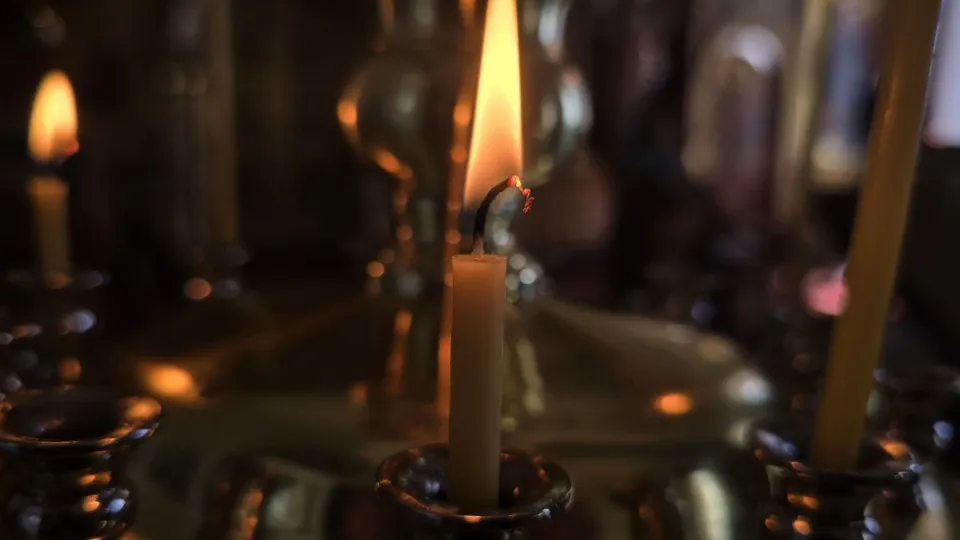 Фото: МедиаБанк Подмосковья/Яна Шаливская