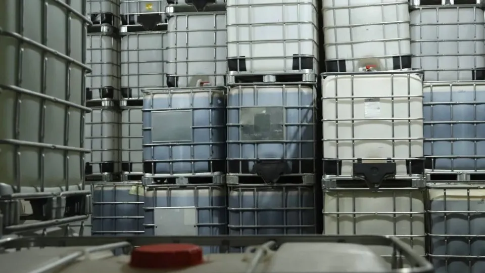 Фото: пресс-служба администрации г.о. Солнечногорск