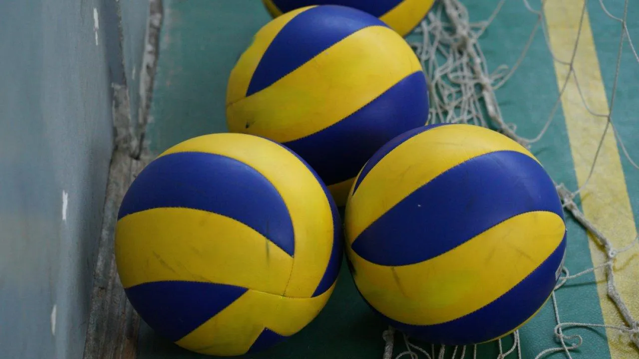 REGIONS/Дарина Левкина