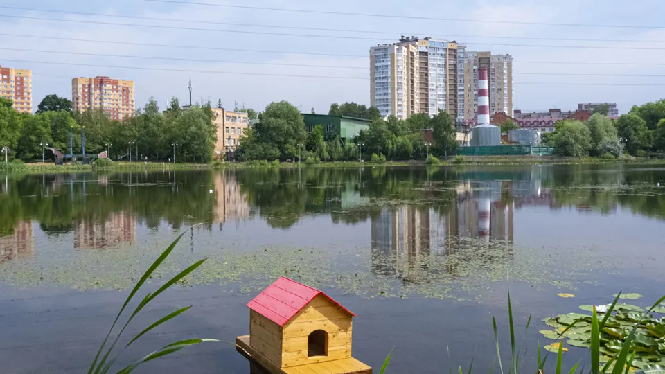 Фото: Андрей Кирашев
