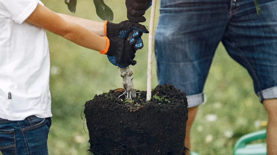 Фото: freepik.com