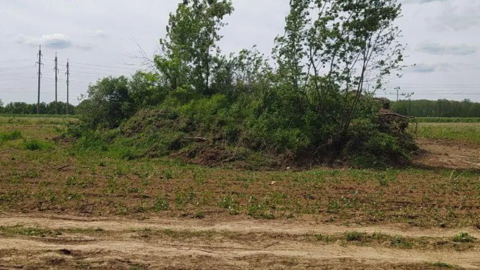 Фото: Главное управление культурного наследия