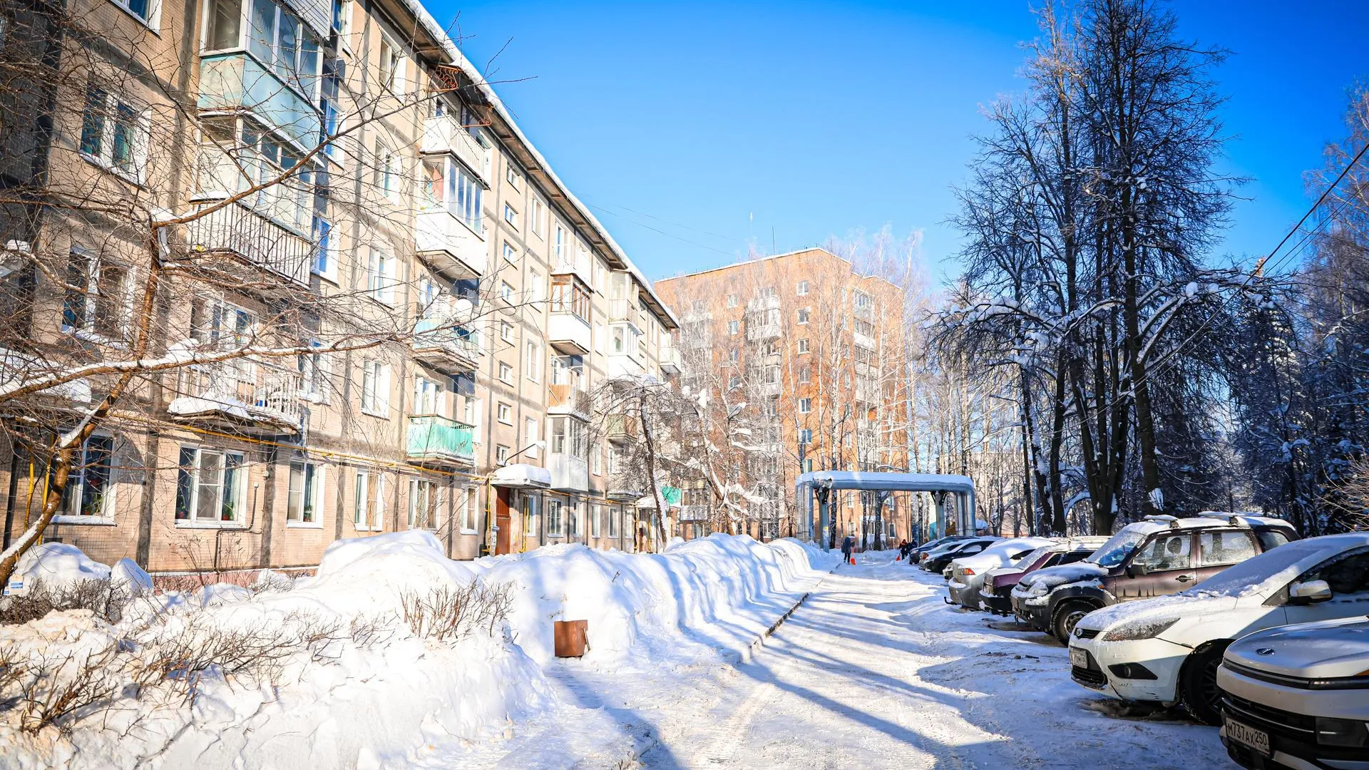 МедиаБанк Подмосковья/Данила Кирьянов