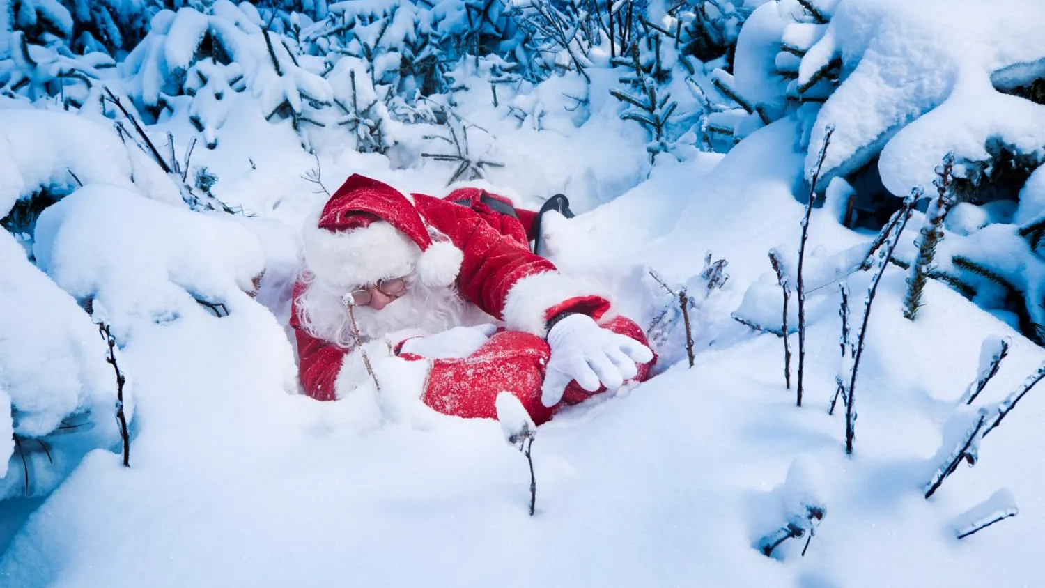 Фото: Freepik.com