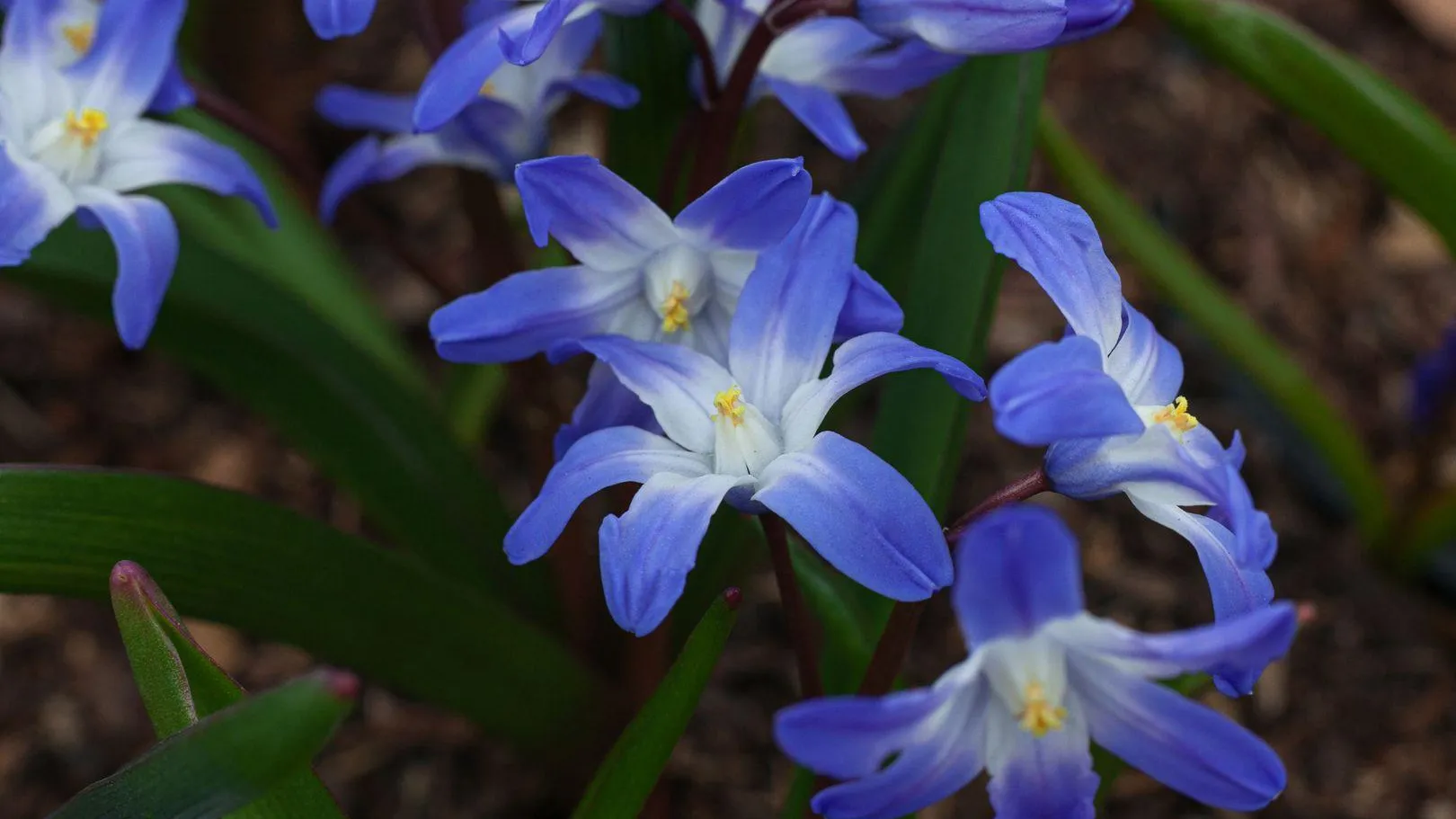 медиасток.рф