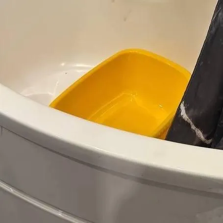 Прокуратура Санкт-Петербурга