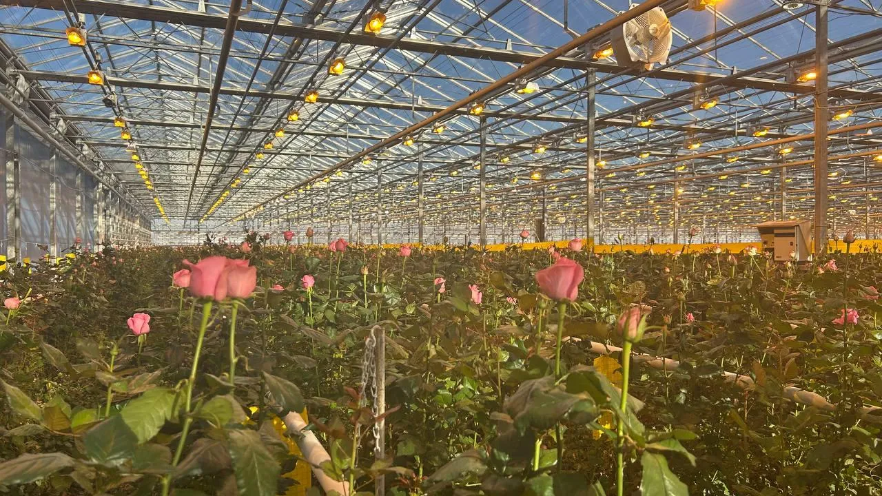 Главгосстройнадзор МО