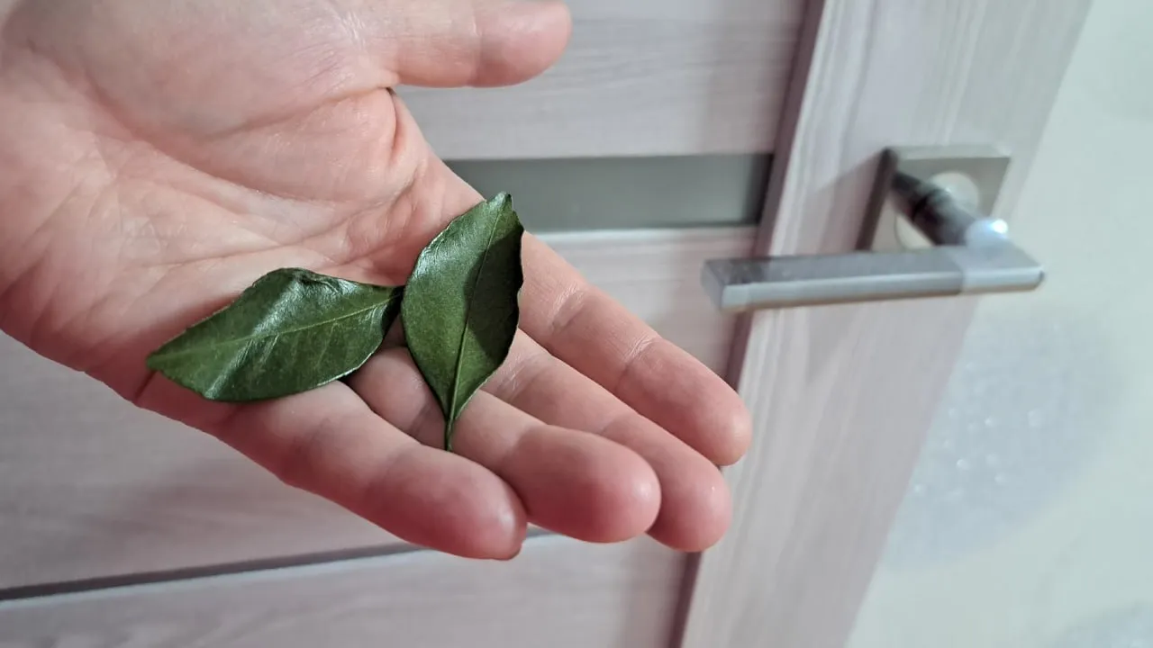 Фото: REGIONS/Татьяна Замятина