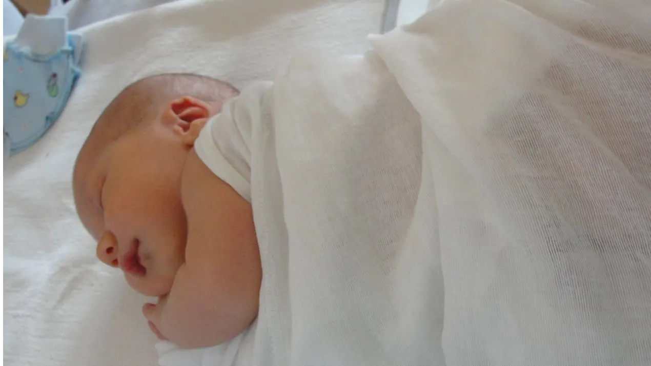 Фото: Татьяна Синельникова