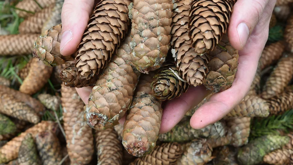 Фото: TASS/DPA/Uwe Zucchi