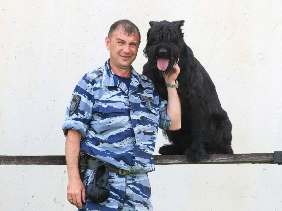 Фото: t.me/podolskadm