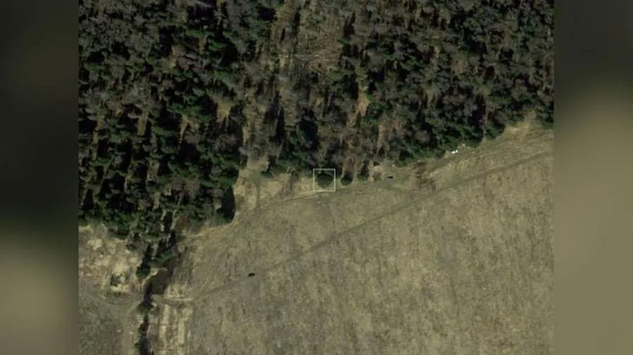 Фото: Рослесинфорг